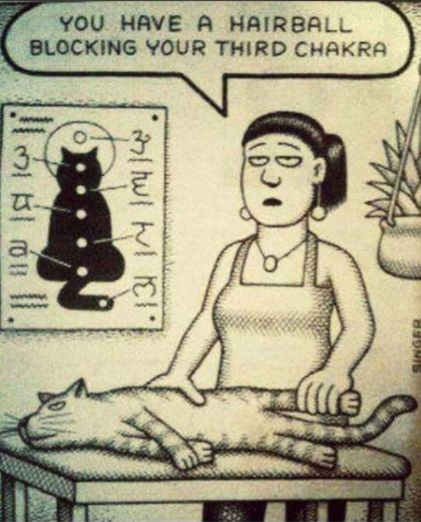 Cartoon