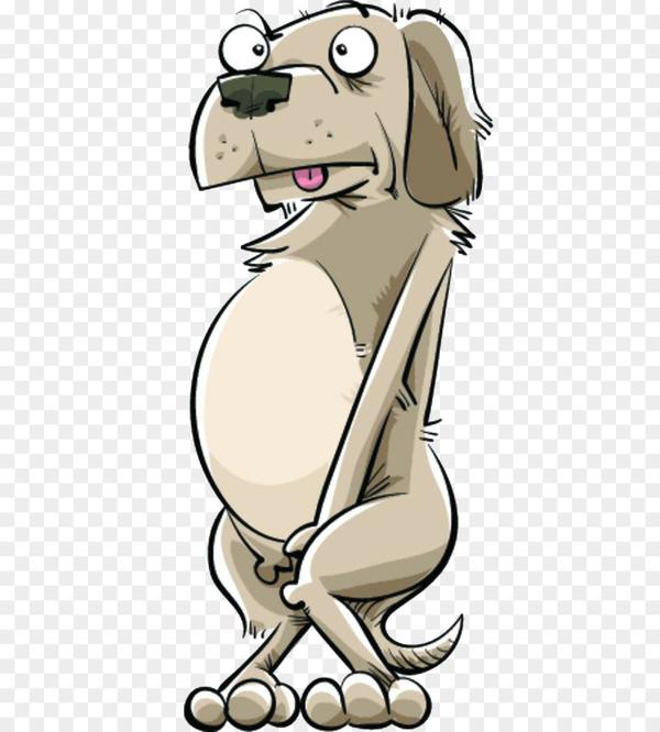 Incontinence Dog
