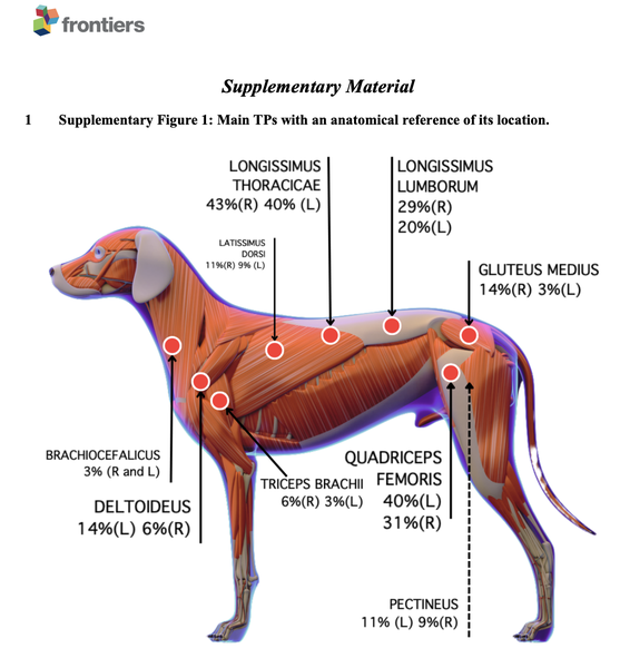 MTPs in a dogs with OA