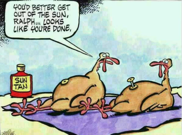 Cartoon