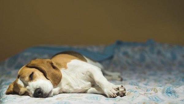 Seizure precipitation