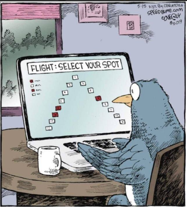 Cartoon