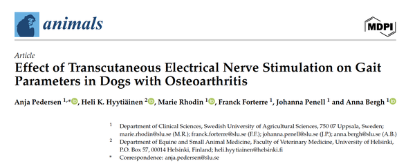 TENS & OA & Gait