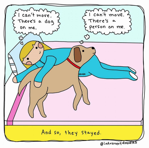 Cartoon
