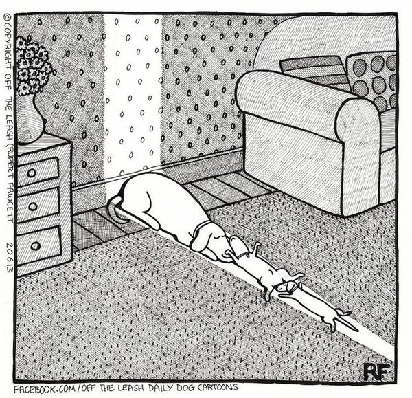 Cartoon!