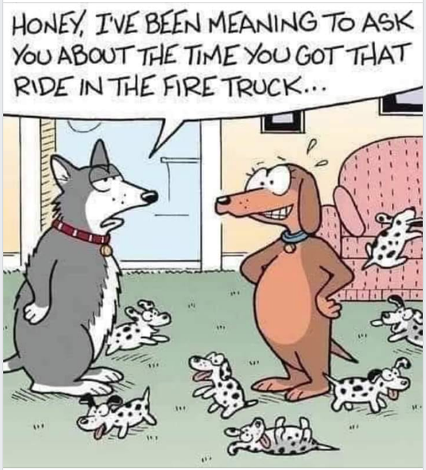Cartoon