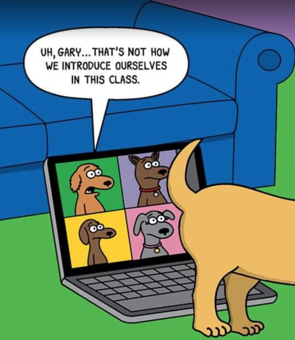 Cartoon