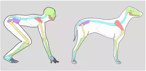 BE the dog!