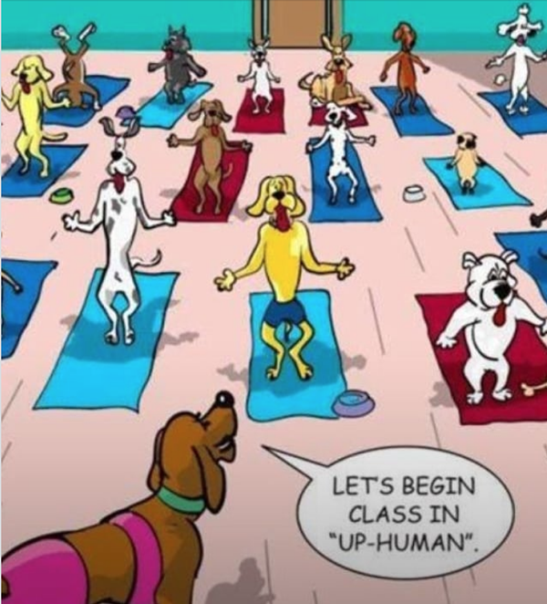 Cartoon