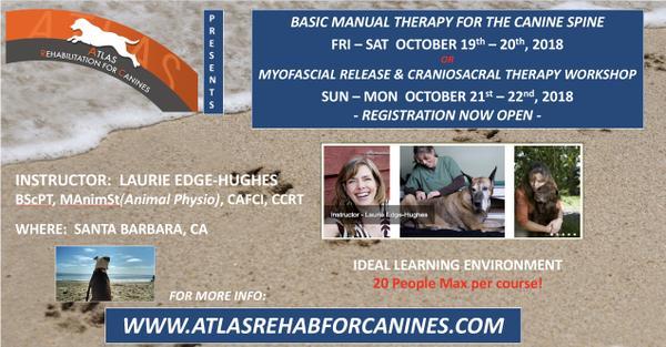 ARCs 2018 Education