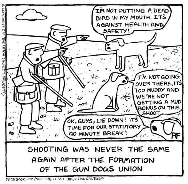Cartoon