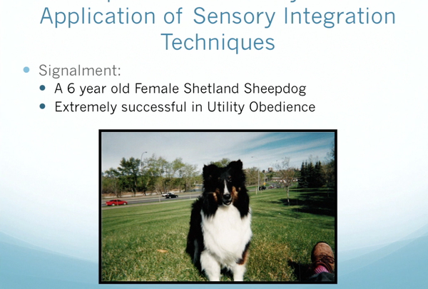 Sensory Integration