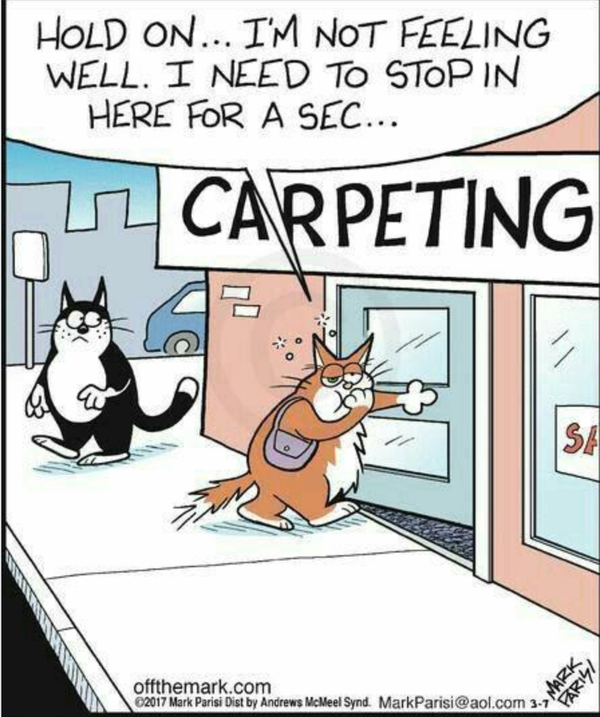 Cartoon!