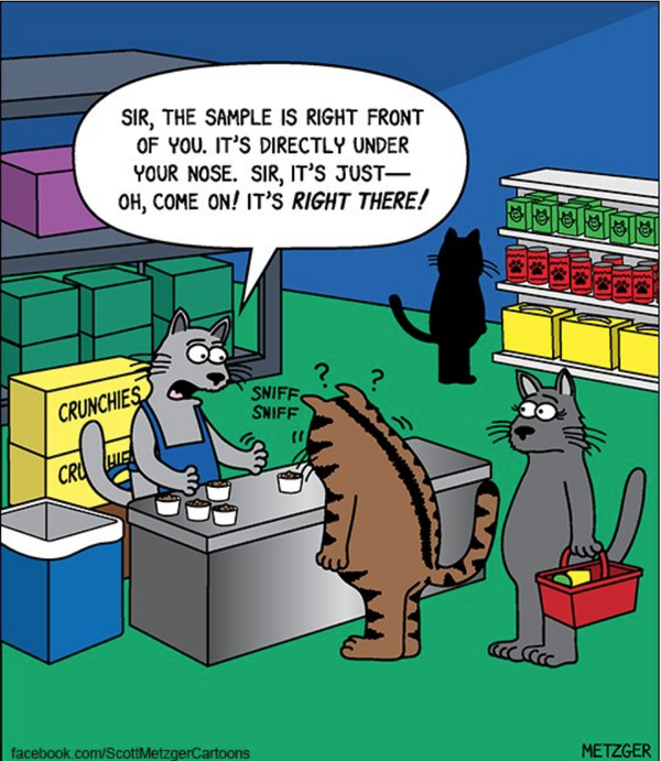 Cartoon