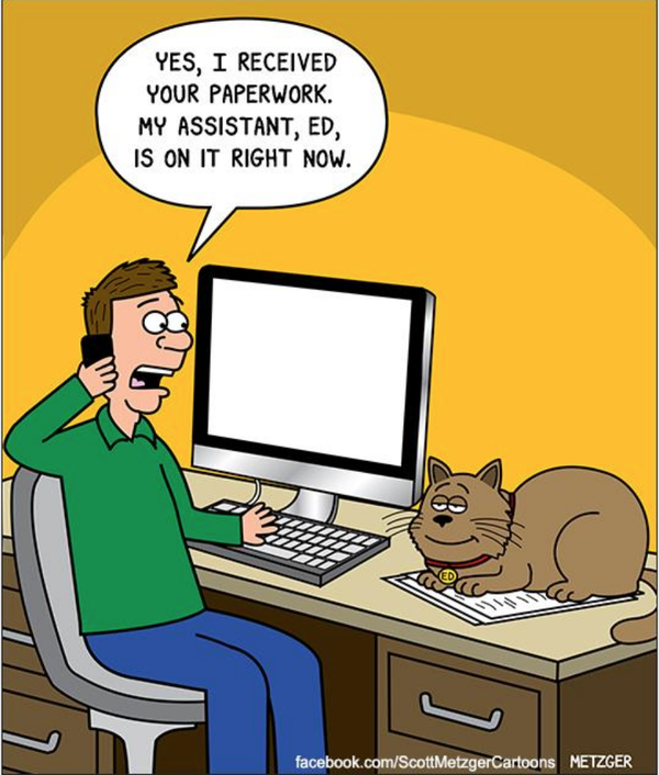 Cartoon