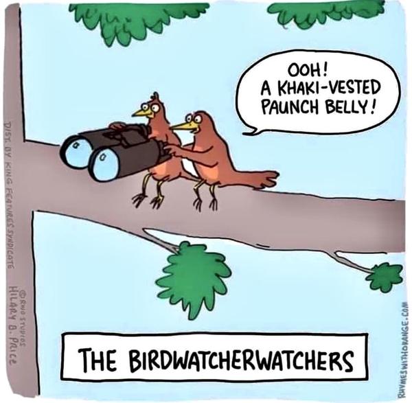 Cartoon