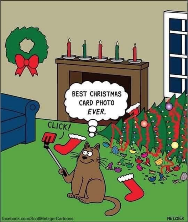 Cartoon