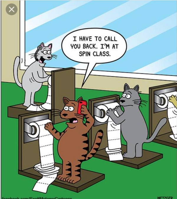 Cartoon