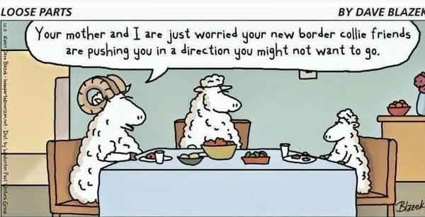 Cartoon!