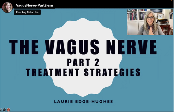 The Vagus Nerve Part 2