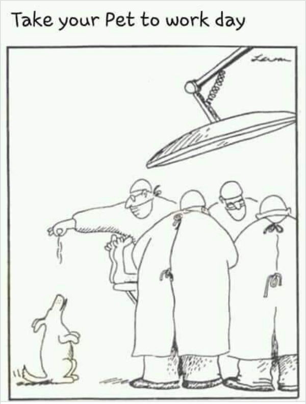 Cartoon