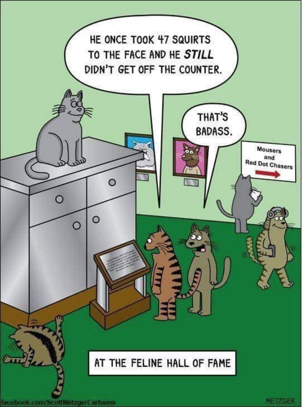 Cartoon!