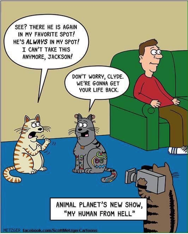Cartoon