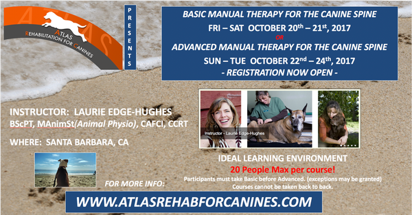 Atlas Rehab For Canines