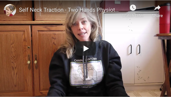 Self Neck Traction