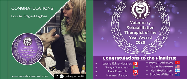 Vet Rehab Therapist of the Year