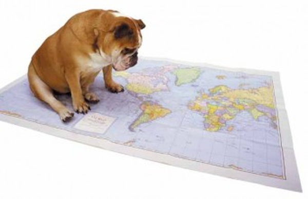 DogMap