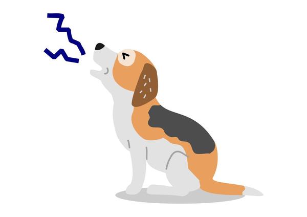 Dog Howling Back Pain