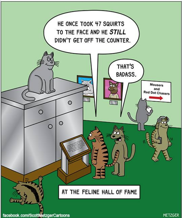 Cartoon!