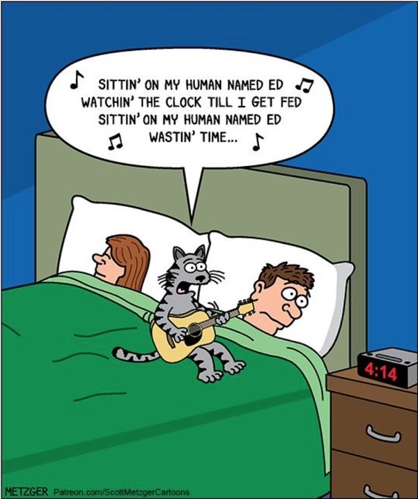 Cartoon