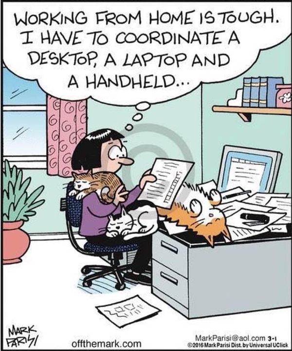 Cartoon