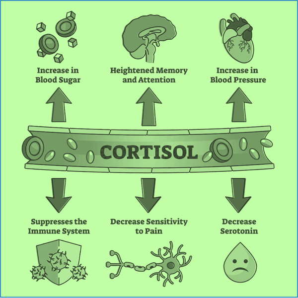 Manual Therapy & Cortisol