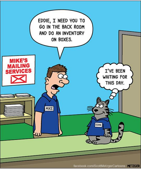 Cartoon