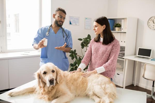Talking to an Owner