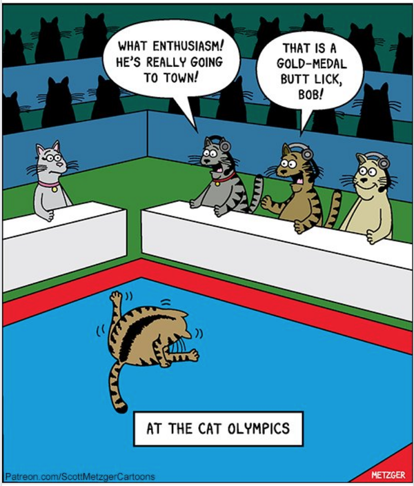 Cartoon