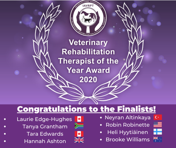 IAVRPT Rehab Therapist Award