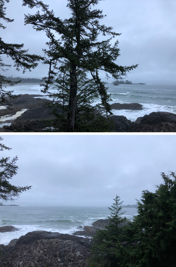 Tofino2