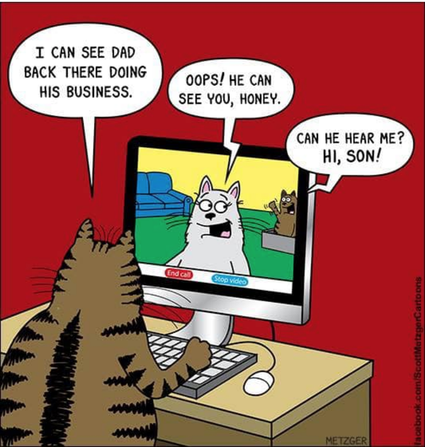 Cartoon