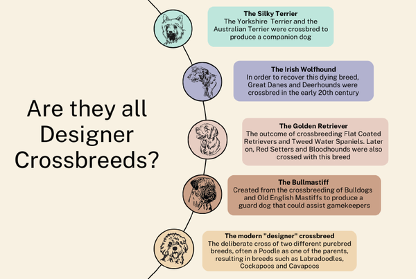 Cross-bred vs Pure-bred