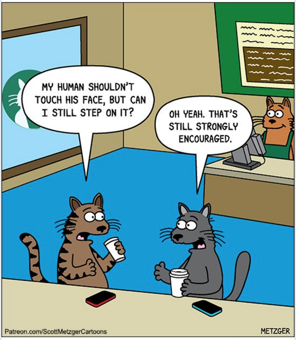 Cartoon