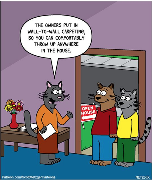 Cartoon