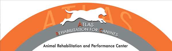 Atlas Rehab for Canines