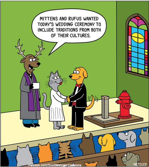 Cartoon