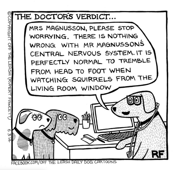 Cartoon