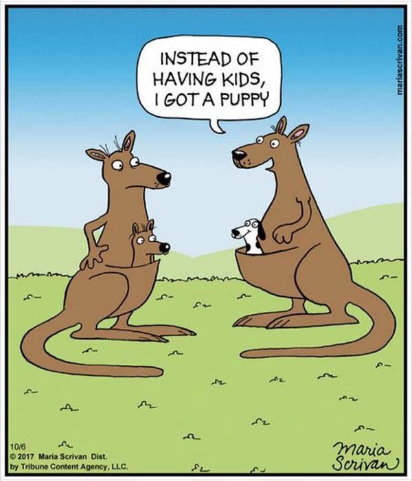 Cartoon