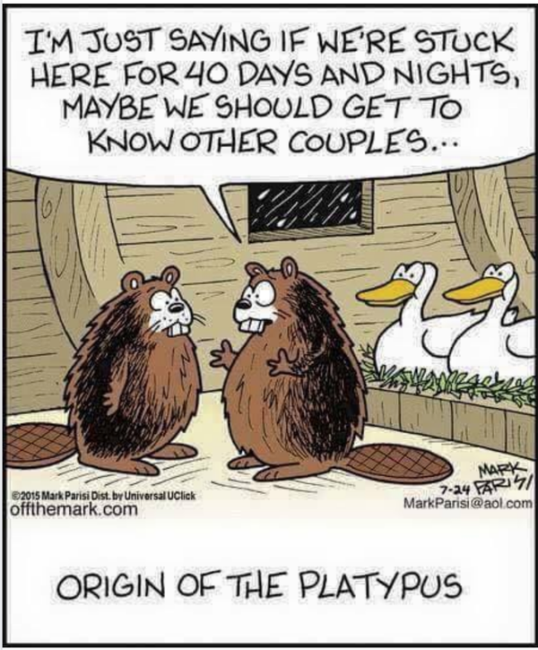 Cartoon